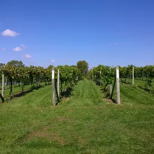 Woodland Hill Winery