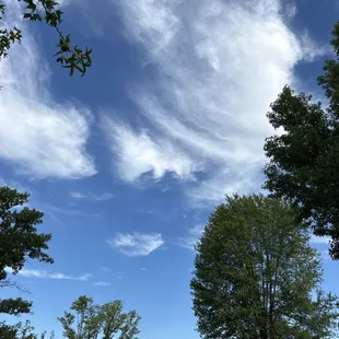 13th hole pit stop view