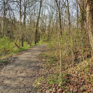 On the nature path it is beginning to look like Spring.