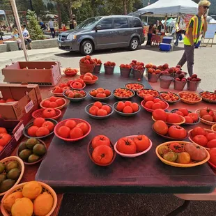 a table full of tomatoes