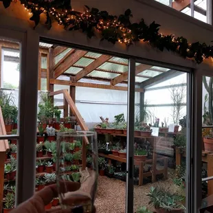 Wine glass and succulent store