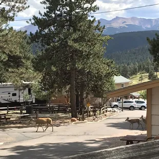 Woodland RV Park