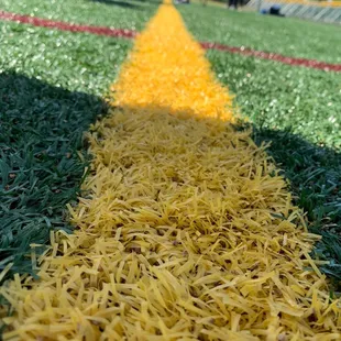 All new turf for 2021