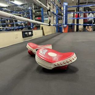 Woodland Boxing Club, youth session.