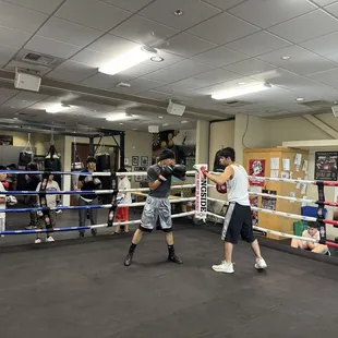 Woodland Boxing Club, youth session.