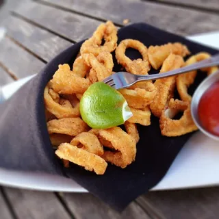 Calamari