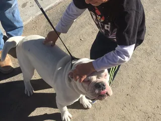 Old Vine Discount Liquor