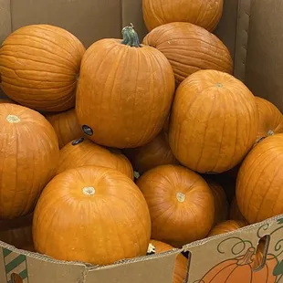 It's that time of year! HUGE locally grown pumpkins . 2/$8. Get em while they are on sale!