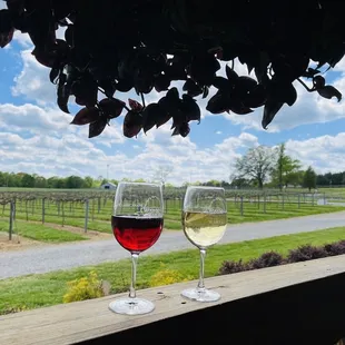 two glasses of wine on a porch