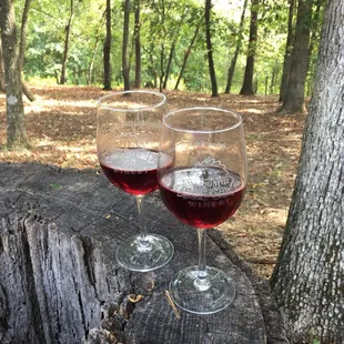 Resting in the wooded area.