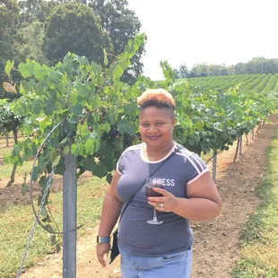 A plethora of full grown vines.