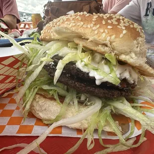 The Woodneck sandwich -- delicious falafel!
