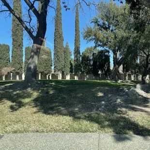 Woodrow Park