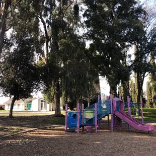 Eucalyptus trees to shade the play area