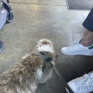 Dog friendly inside!