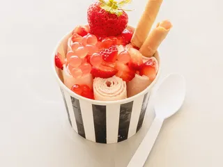 Rock N Roll Handrolled Premium Ice Cream