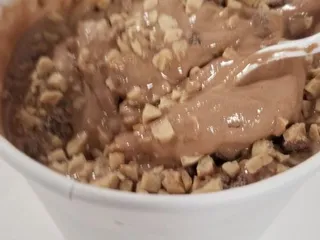 Twisted Tulip Frozen Yogurt