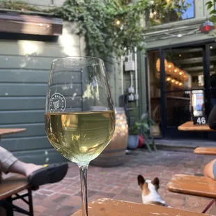 a nice afternoon glass on the back patio