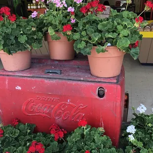 Old country charm