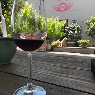 Outdoor wine tasting at Woodside Vineyards. You folks out there don't know what you're missing.