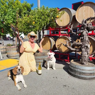 We woof the staff and owner! Thanks for all the woof