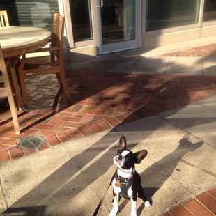 Judith loved Woodstock cafe