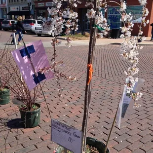 I REALLY wanted this one, but more than I cared to spend.