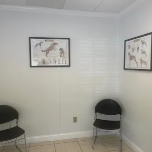 Woodstock Spay & Neuter Clinic