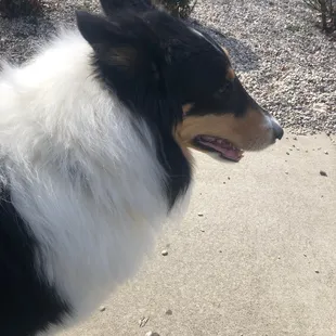 Monthly vaccination clinic