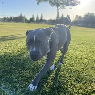 Chilling at the park