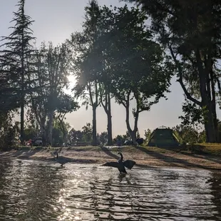 View of campsite from the water