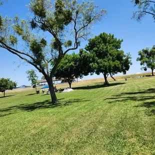 A great place to have outdoor fun.