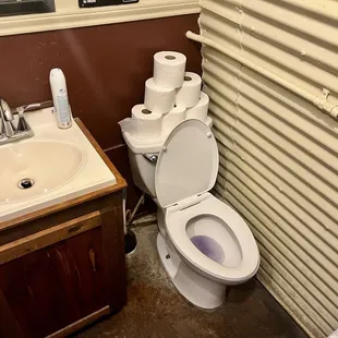 Clean ladies restroom