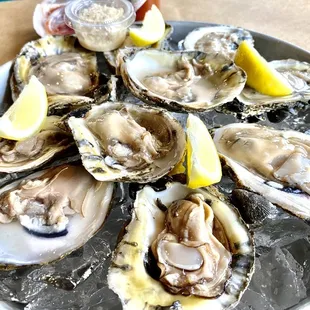 Super fresh! Highly recommend the Oyster Sampler