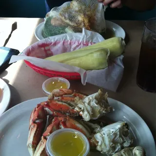 Dungeness Crab