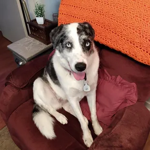 My special girl Zayna