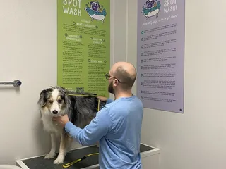 The Green Spot Omaha