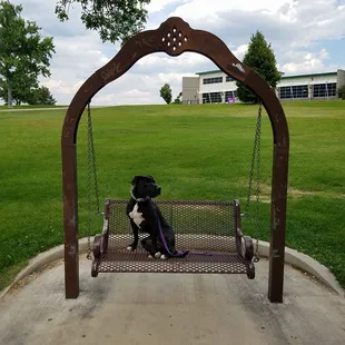 Titus displaying his awesome place command!