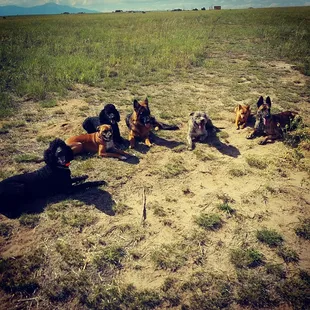 group shot of graduates