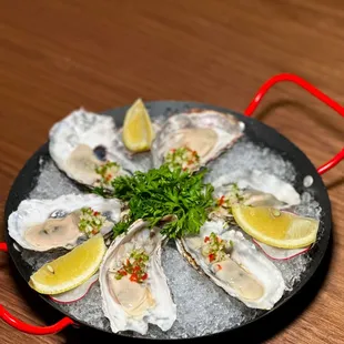 Oysters from Southern Sea of Korea (Namhae)