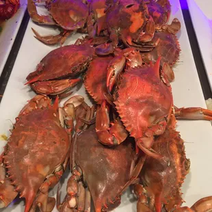 Blue Crab