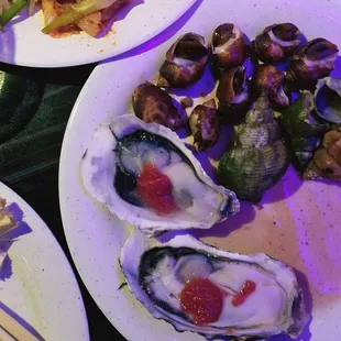 Oysters