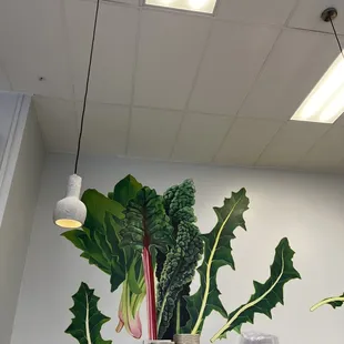 Wall behind the counter