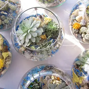 Plant Night. Learn to make (and care for) tabletop gardens and terrariums in this workshop.