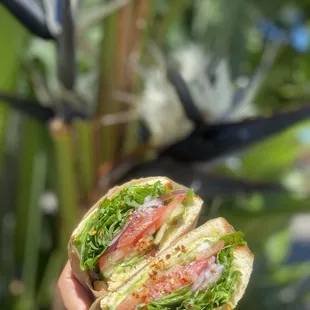 California Veggie Sandwich