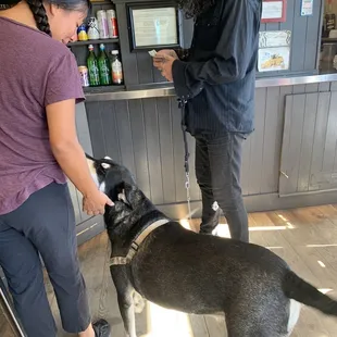 Dog friendly. He was so sweet!