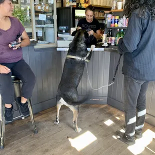 Giving his order lol