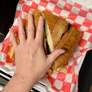 Hand for size reference