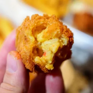 a hand holding a hotdog