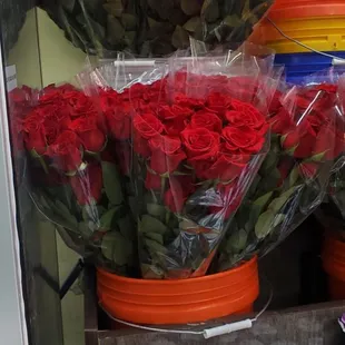 Extra long stem roses